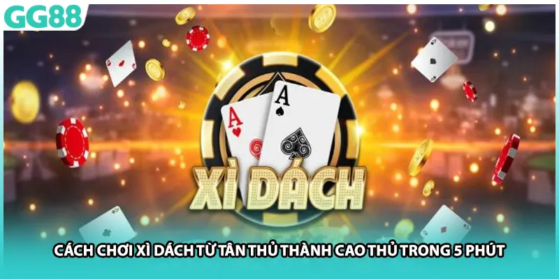 Cách Chơi Xì Dách Từ Tân Thủ Thành Cao Thủ Trong 5 Phút