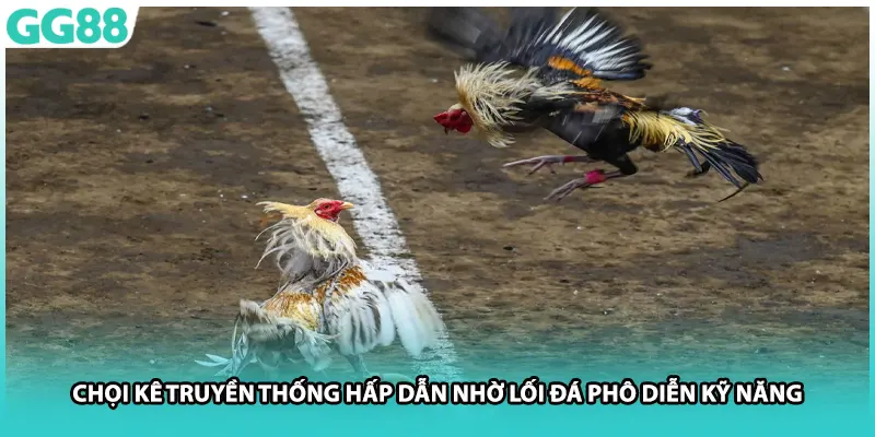 Chọi kê truyền thống hấp dẫn nhờ lối đá phô diễn kỹ năng