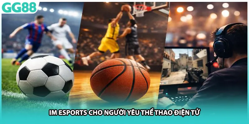 IM Esports cho người yêu thể thao điện tử