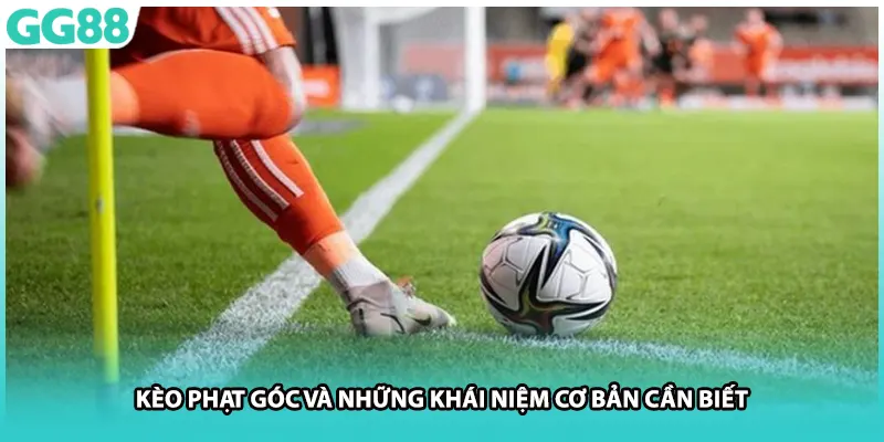 Kèo phạt góc và những khái niệm cơ bản cần biết