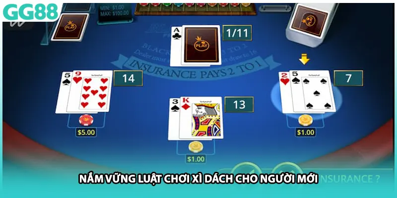 Nắm vững luật chơi xì dách cho người mới