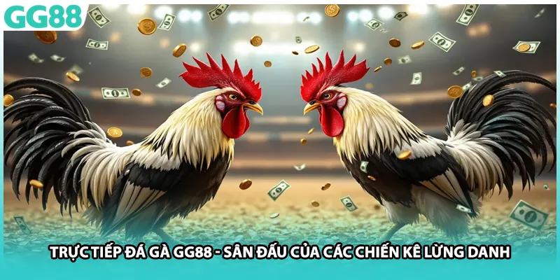 Trực Tiếp Đá Gà GG88 - Sân Đấu Của Các Chiến Kê Lừng Danh